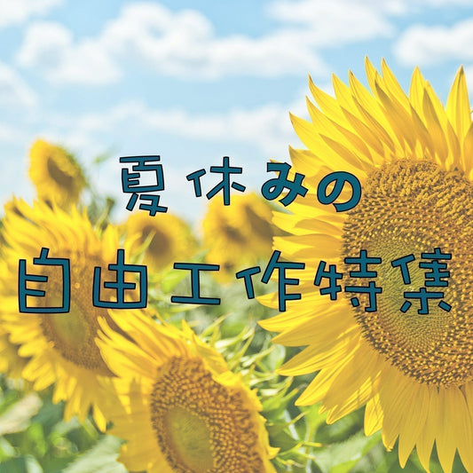 【夏休みの工作特集】夏休みの工作の思い出におすすめ商品 4選