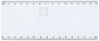パズル 定規 15cm 白